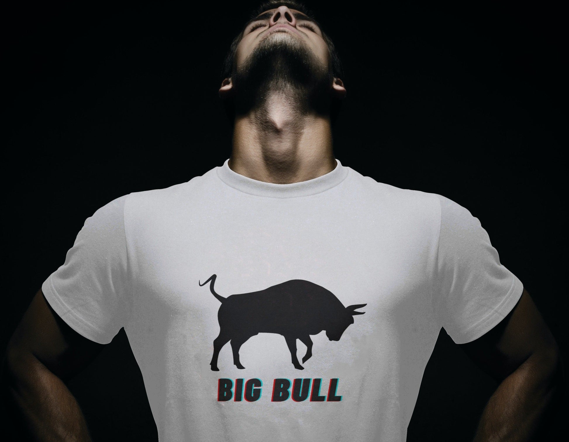 BigBull (T-shirt) - tickermart.com